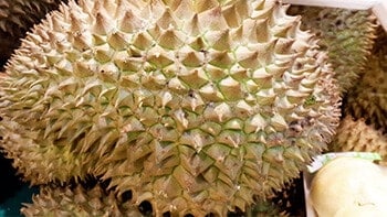 Durian the Reigning King of all Thai Fruit