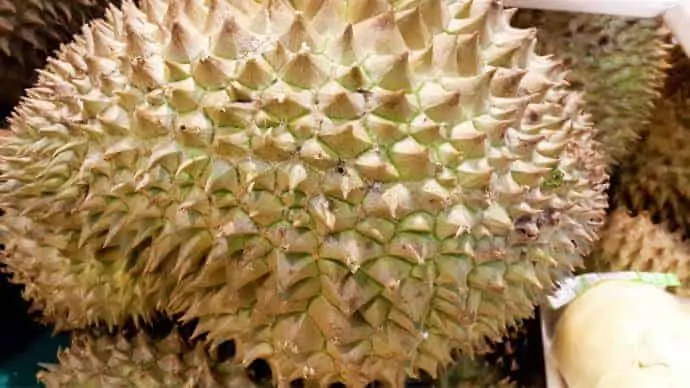 Durian