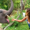 woman feeding elephant