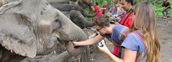 photo ops with elephants