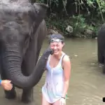 Elephant Kissing at Hug Elephant Sanctuary