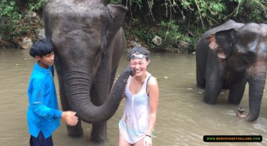 Elephant Kissing at Hug Elephant Sanctuary