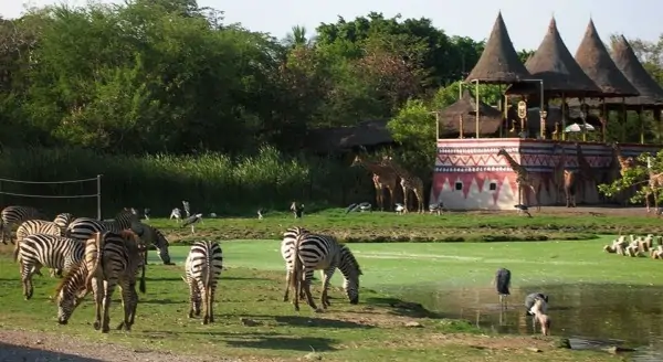 Safari World Bangkok