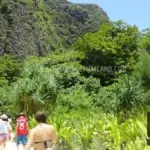 One Day Tour Phi Phi Island And Khai Island By Speed Boat