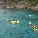 Discover Similan 1 Day Trip