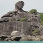 Discover Similan 1 Day Trip