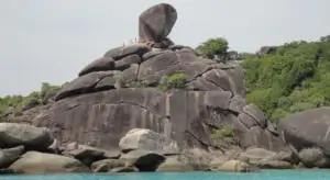 Discover Similan 1 Day Trip