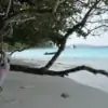 Discover Similan 1 Day Trip