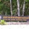 Surin Island