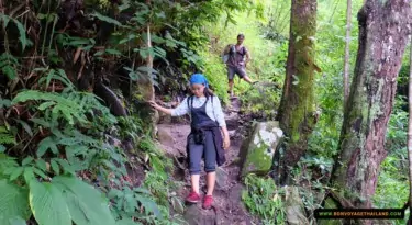 trekking through doi inthanon national park