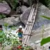 walking on wooden bridge on doi inthanon national park