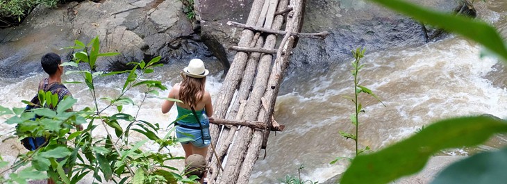 walking on wooden bridge on doi inthanon national park