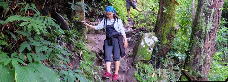 trekking through beautiful rice terraces on doi inthanon national park