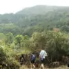 trekking on doi inthanon national park