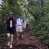 group of people trekking on doi inthanon national park