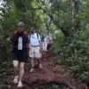 group of people trekking on doi inthanon national park