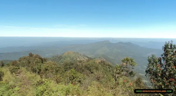 breathtaking view of doi inthanon national park