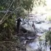 small stream on doi inthanon national park