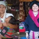 akha hill tribe women in their traditional costumes