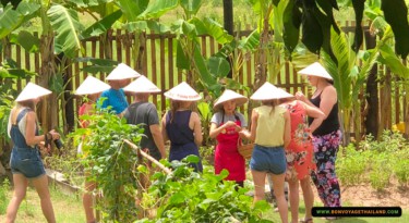group of people learning about thai herbs and vegetables in kitchen garden