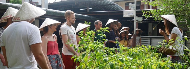 group of people learning about thai herbs and vegetables in kitchen garden