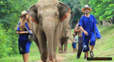 man and woman walking with elephant