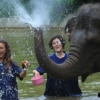 elephant splashing water