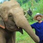 man posing with an elephant in jungle