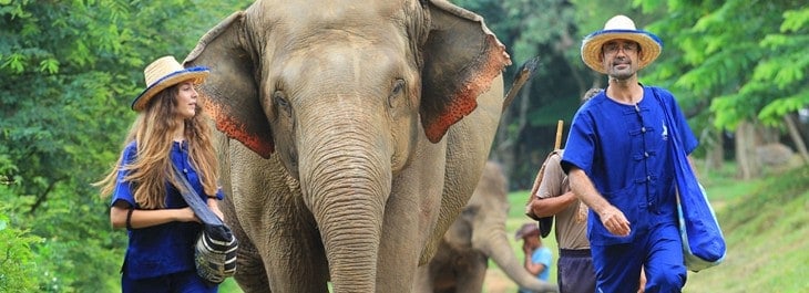 man and woman enjoying a scenic walk with an elephant