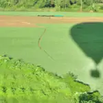 silhouette of balloon flight over rice paddies
