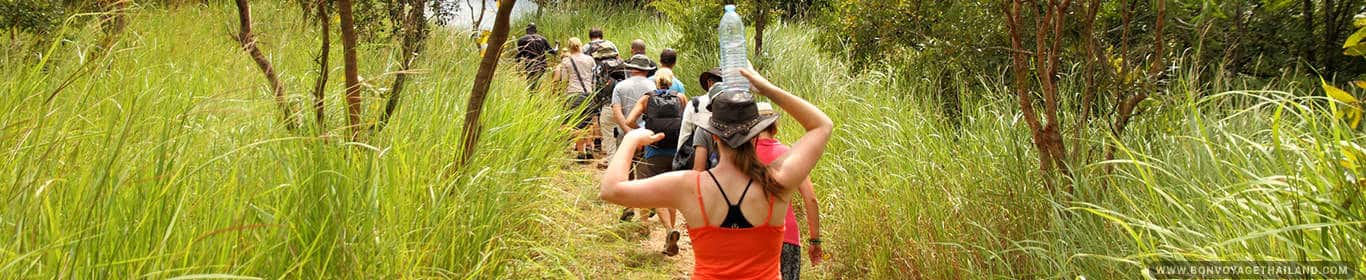 Chiang Mai Trekking