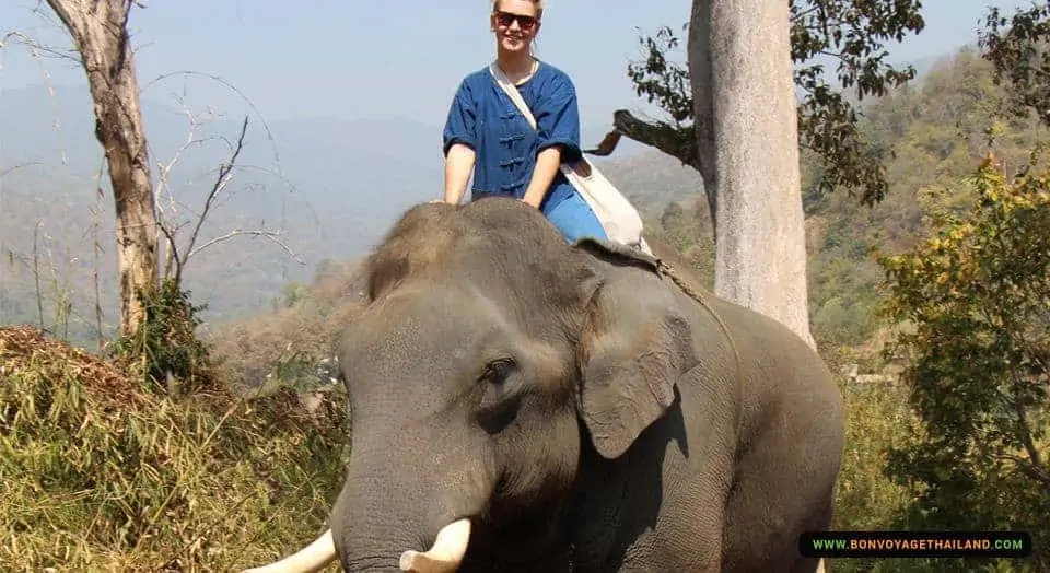 lady in sunglasses bareback elephant riding through forest