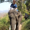 lady in sunglasses bareback elephant riding through forest