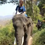 lady in sunglasses bareback elephant riding through forest