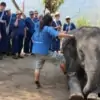 group of people learning elephant commands