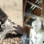 buffalo skulls and horns and statue at black house