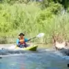man kayaking through chiang dao jungle river