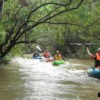 group of people kayaking through chiang dao jungle river