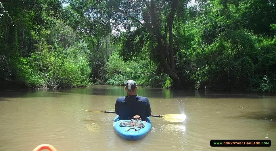 kayaking through chiang dao jungle river