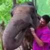 bonding with elephant in special mahout uniform