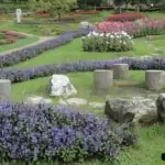 variety of flowers at doi tung park