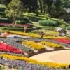 chiang rai doi tung mae fah luang garden