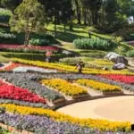 chiang rai doi tung mae fah luang garden