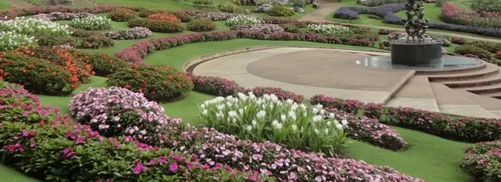 variety of flowers and plants at doi tung park