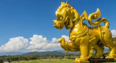 tea plantation at singha park