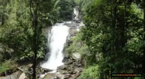 view of waterfall on doi inthanon