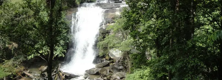 view of waterfall on doi inthanon