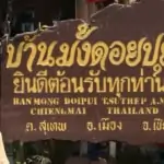 doi pui