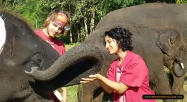 man and woman bonding with elephant