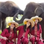 women at elephant rescue park